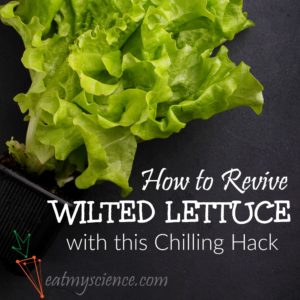 How to Revive Wilted Lettuce with this Chilling Hack! Perk up that salad and quit wasting food