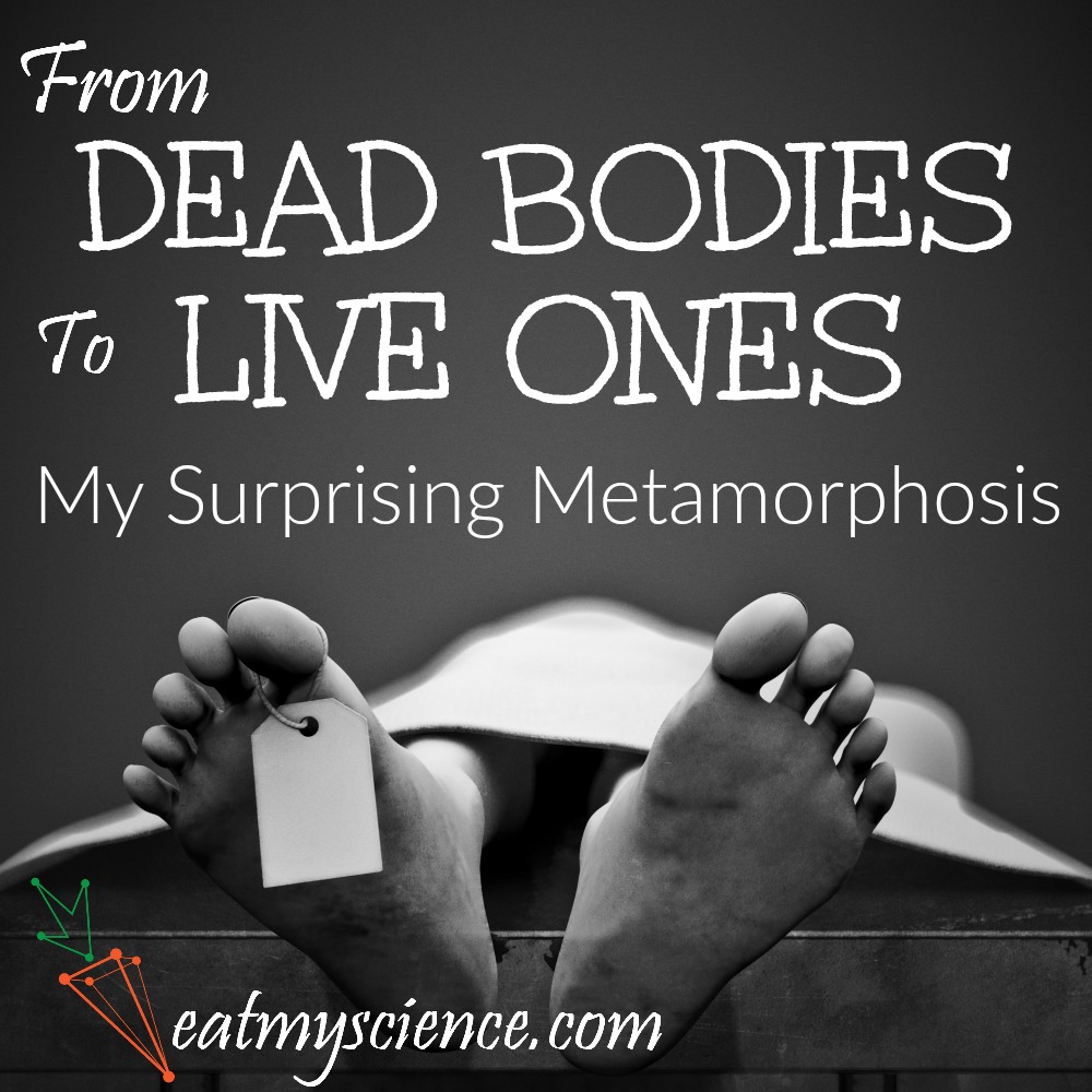 I always dreamed of investigating dead bodies, but now I teach you about your live one